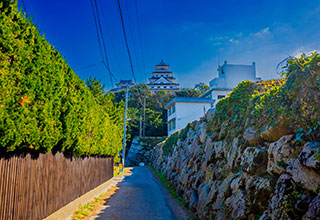 唐津城の見どころ4