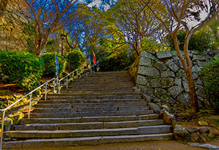 唐津城の見どころ6