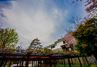 唐津城の見どころ7