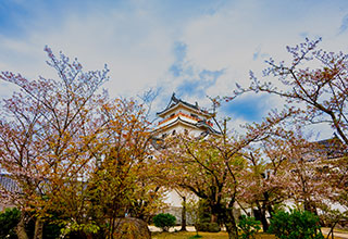 唐津城の見どころ9