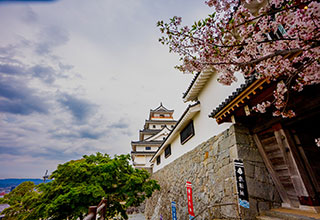 唐津城の見どころ11