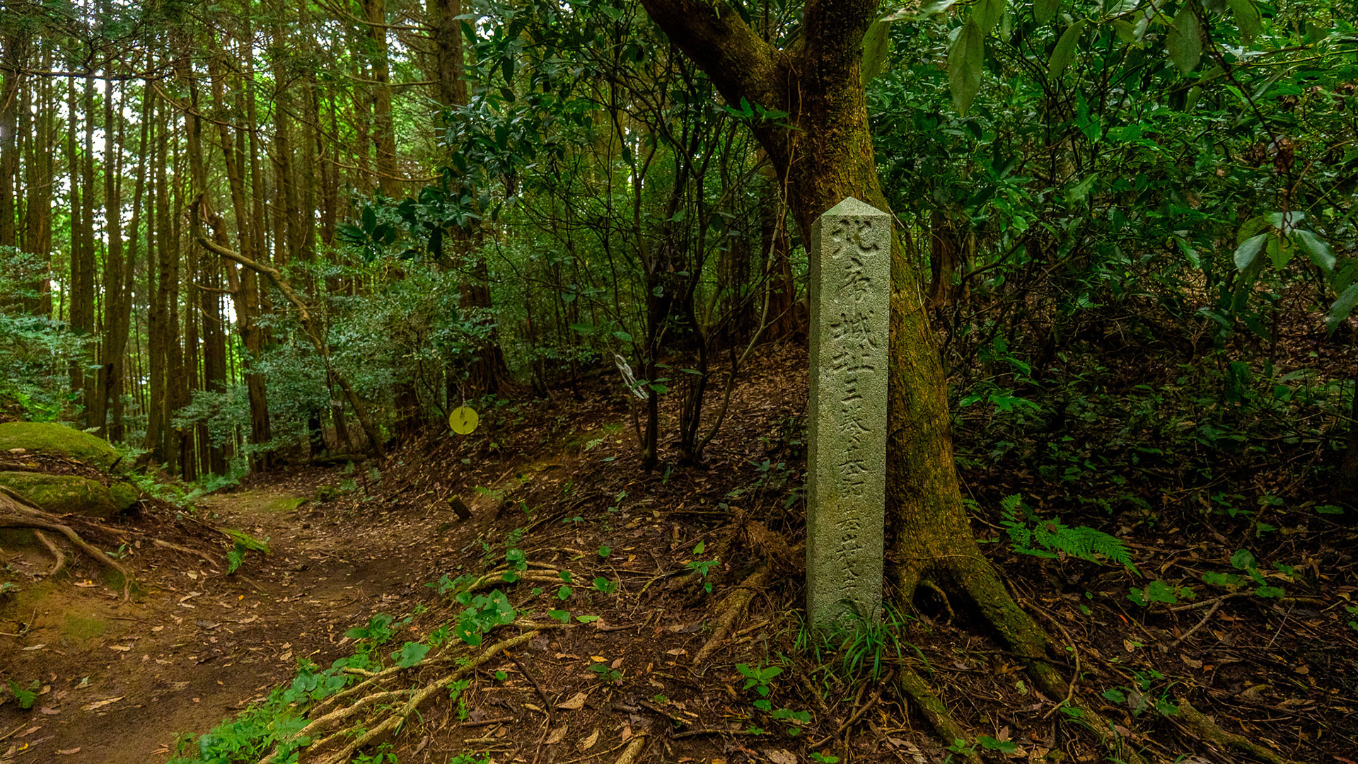 秋の基肄城跡（椽城）5