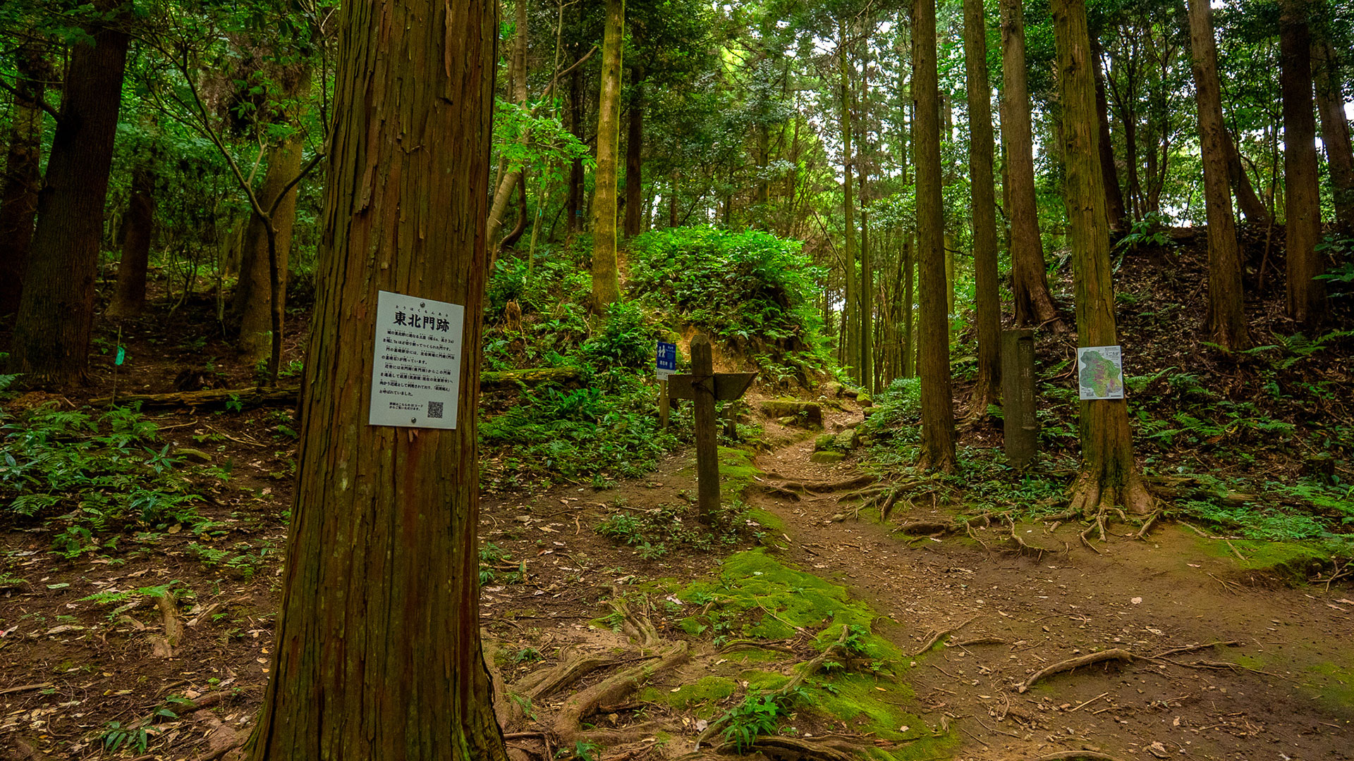 秋の基肄城跡（椽城）6