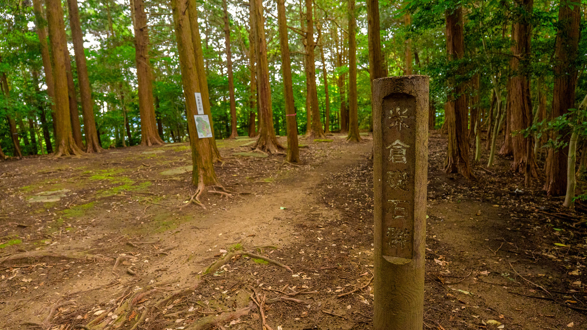 秋の基肄城跡（椽城）7
