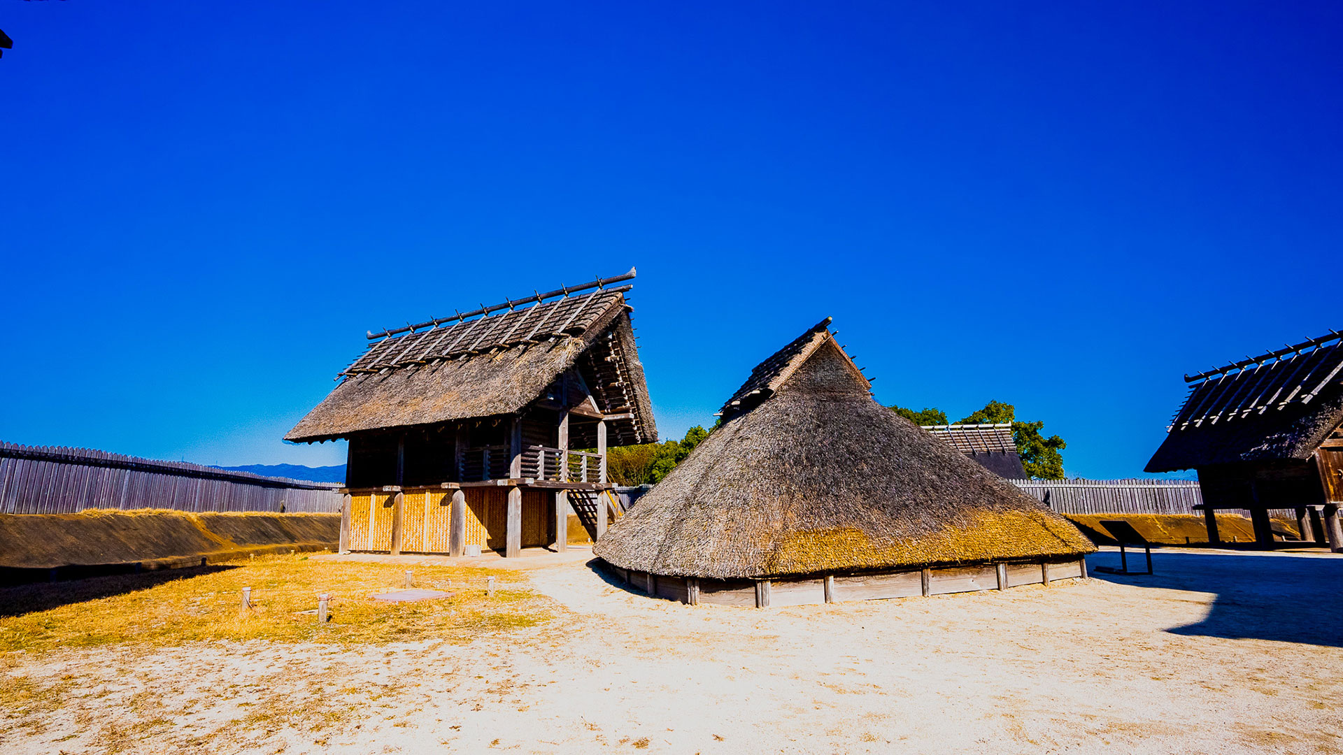 冬の吉野ヶ里遺跡2