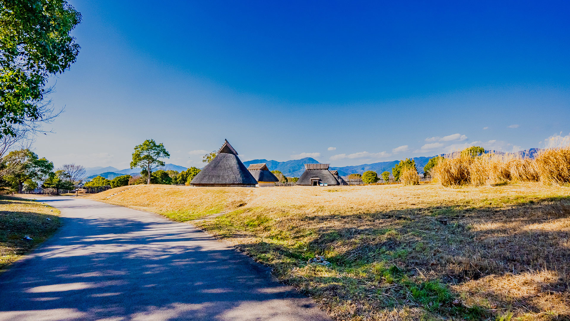 冬の吉野ヶ里遺跡4