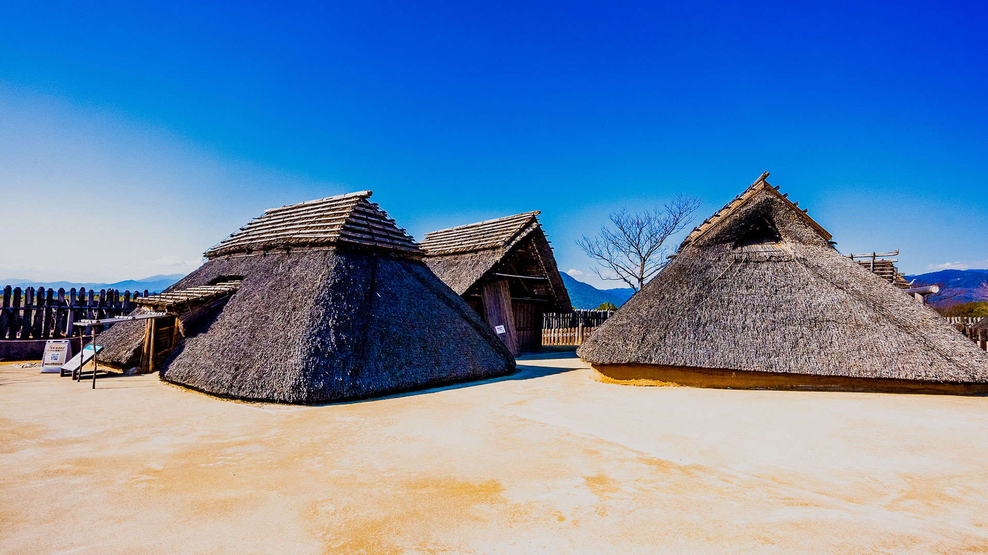 冬の吉野ヶ里遺跡6