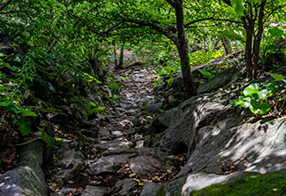 今帰仁城の見どころ6