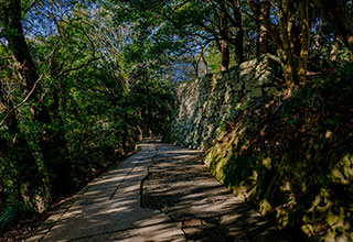 宇和島城の見どころ5
