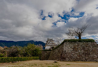 宇和島城の見どころ7