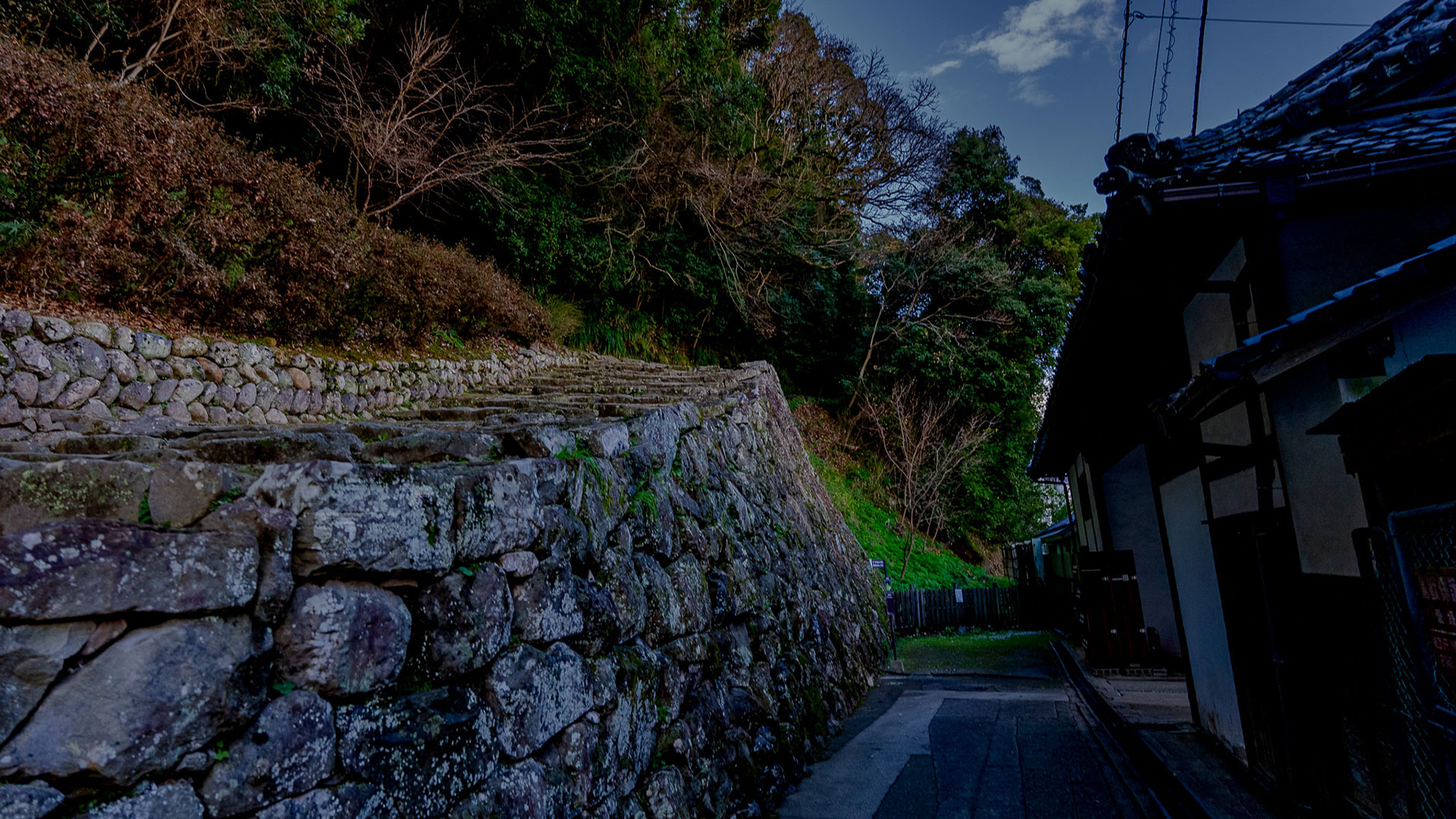 冬の宇和島城10