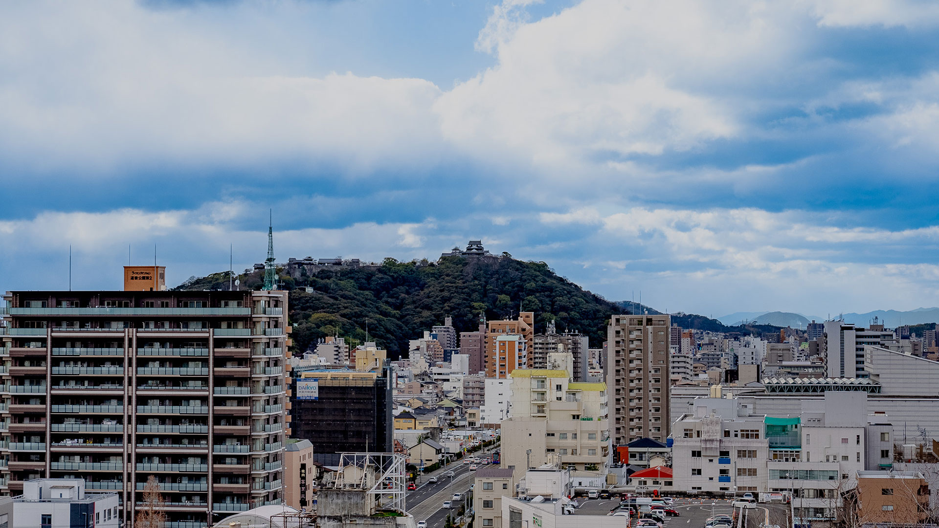 冬の湯築城跡10