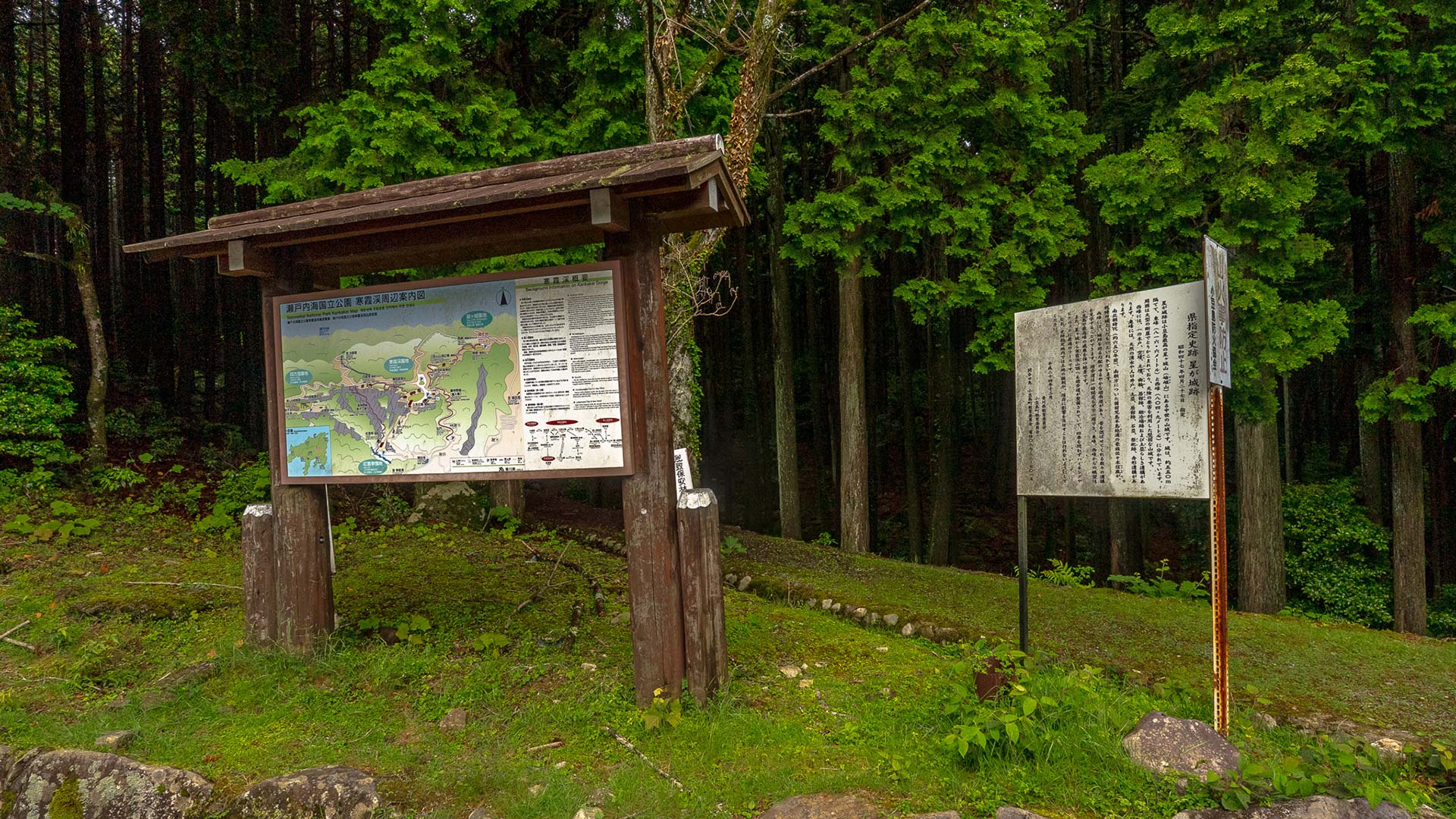 夏の星ケ城跡10