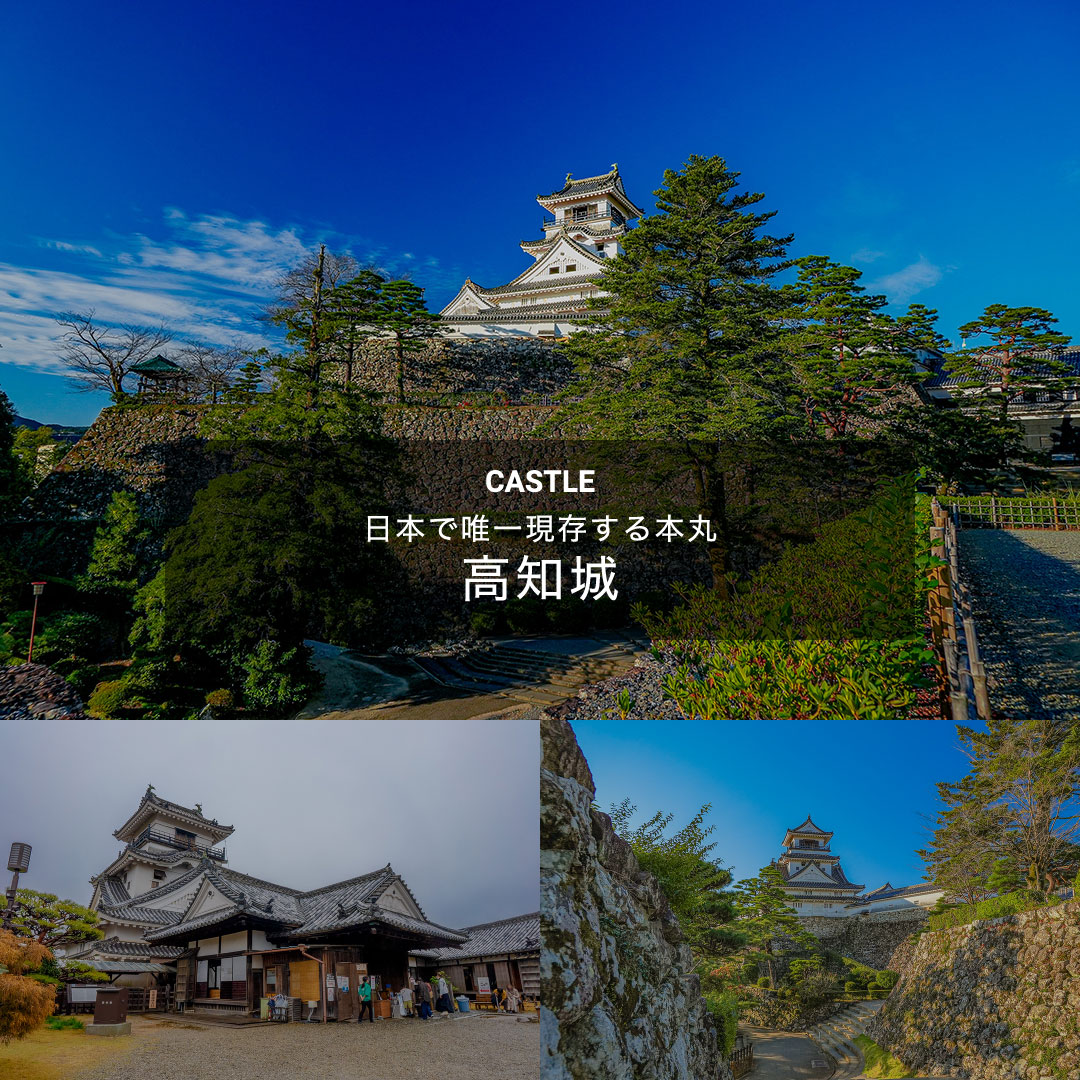 高知城の観光情報5