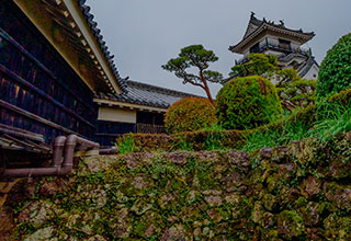 高知城の見どころ4