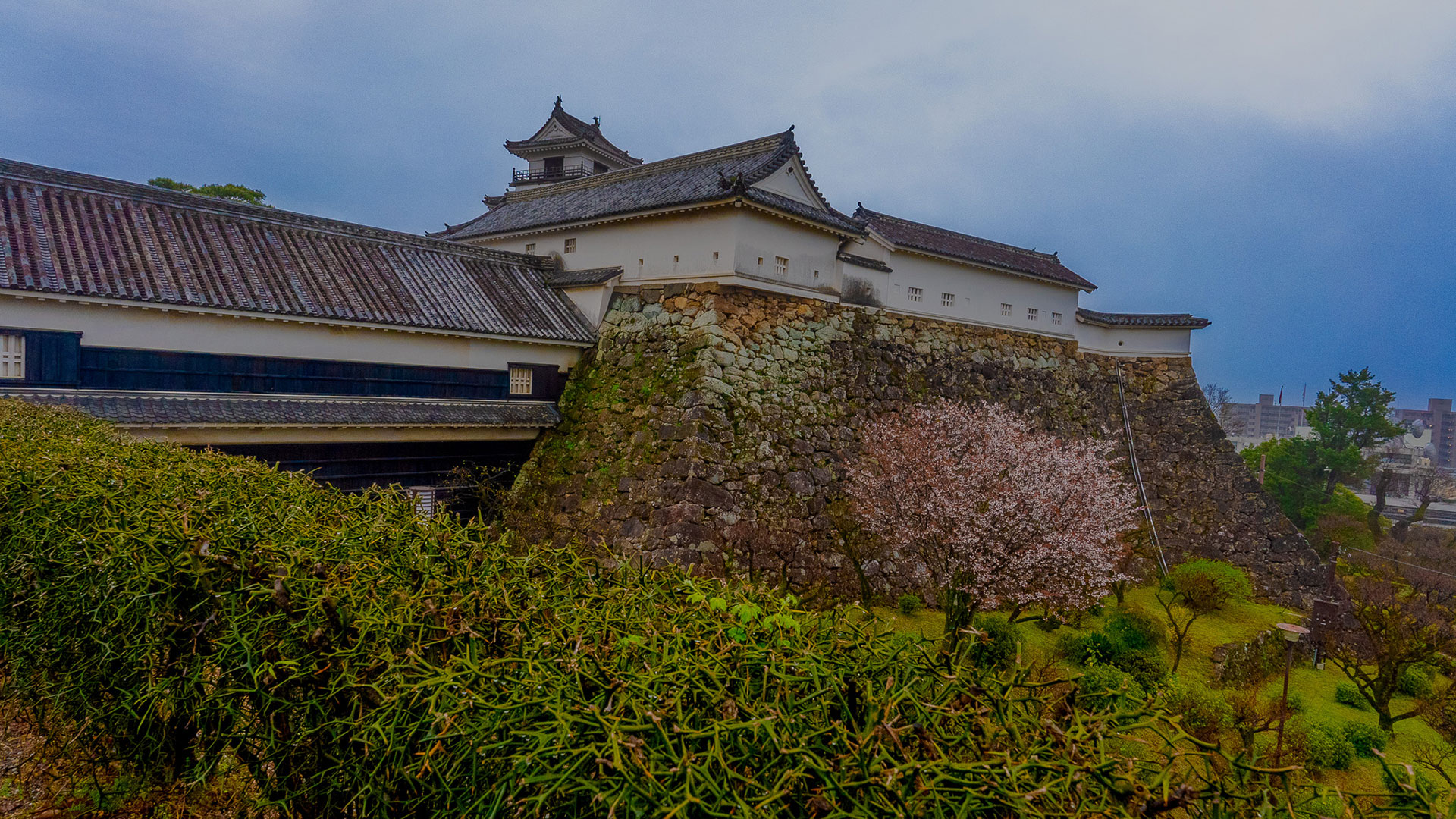 春の高知城6