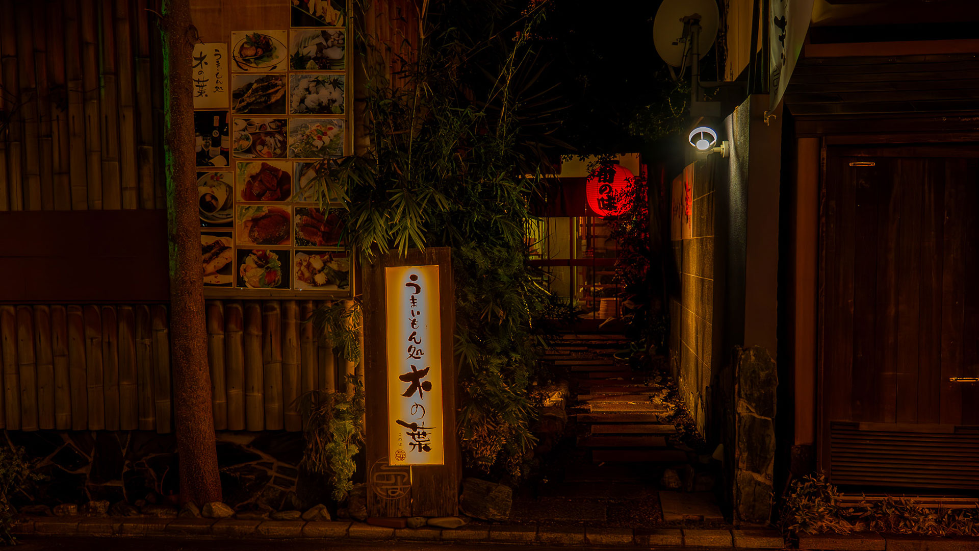 寅河豚3