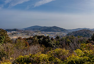 一宮城の見どころ12