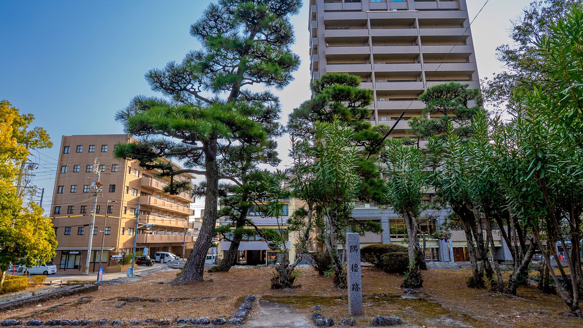 冬の徳島城6