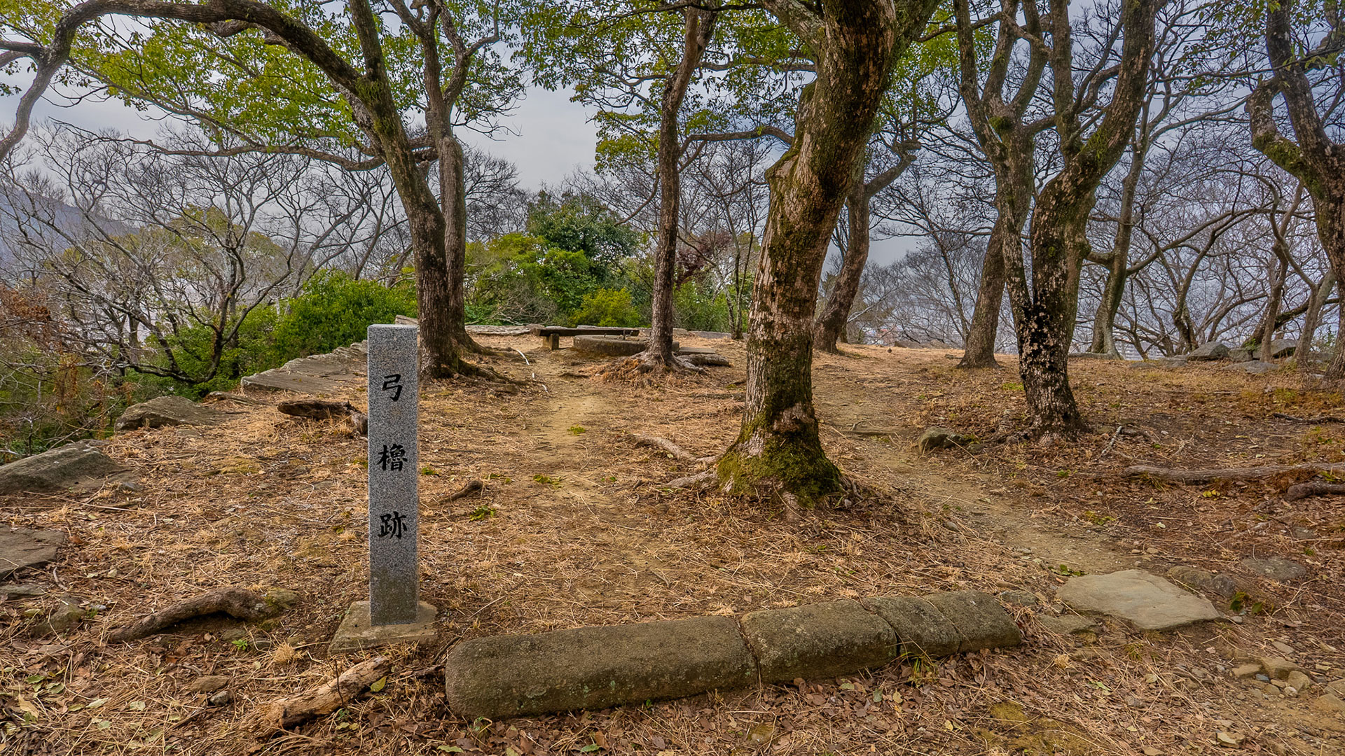 冬の徳島城10