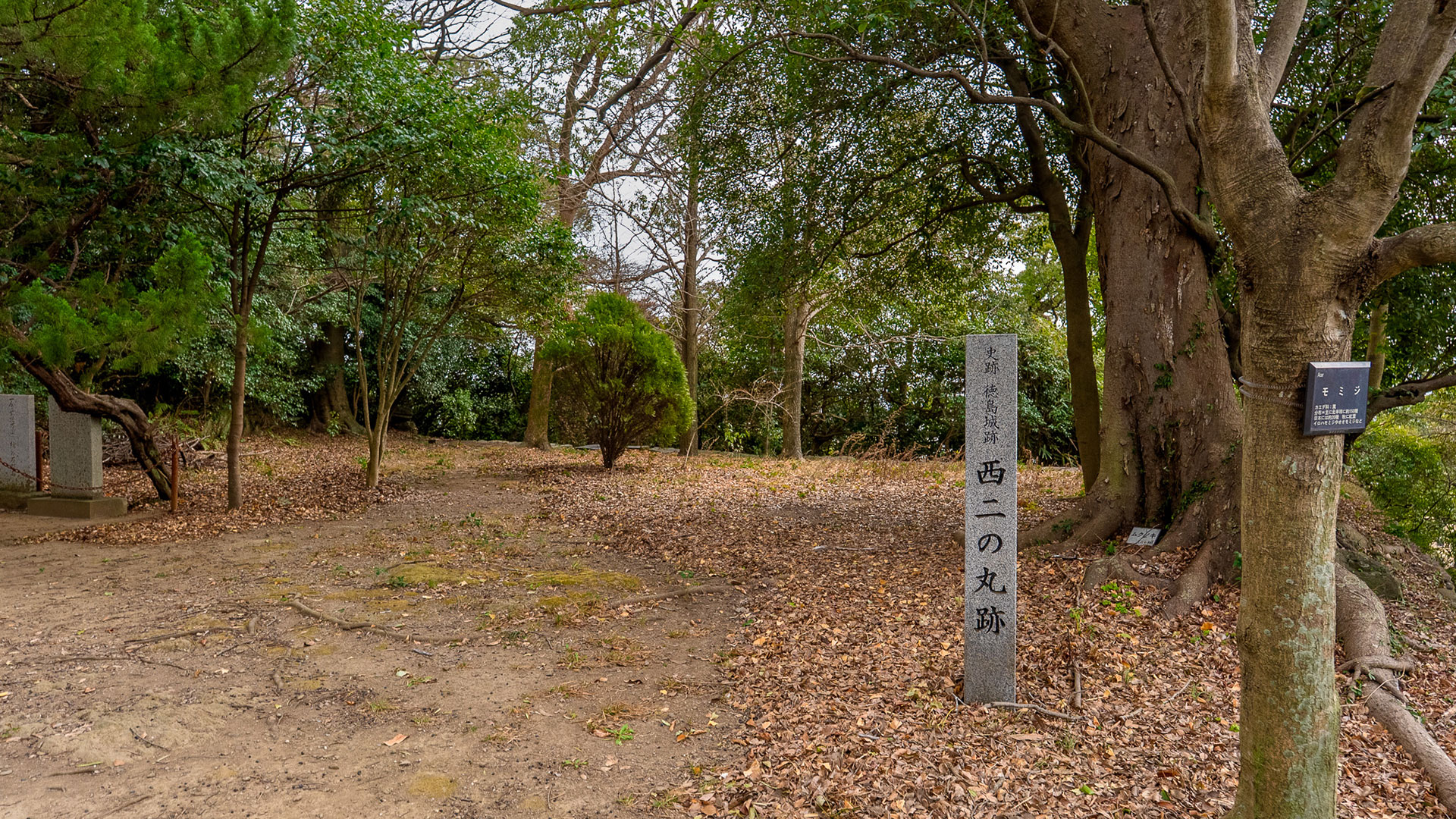 冬の徳島城11