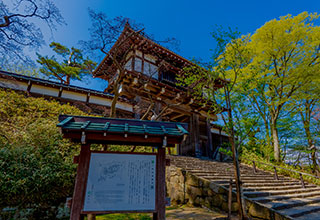 久保田城の見どころ7