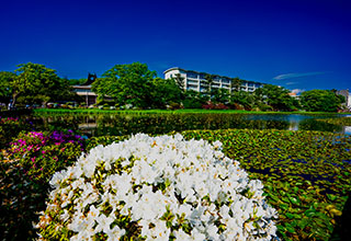 久保田城の見どころ12