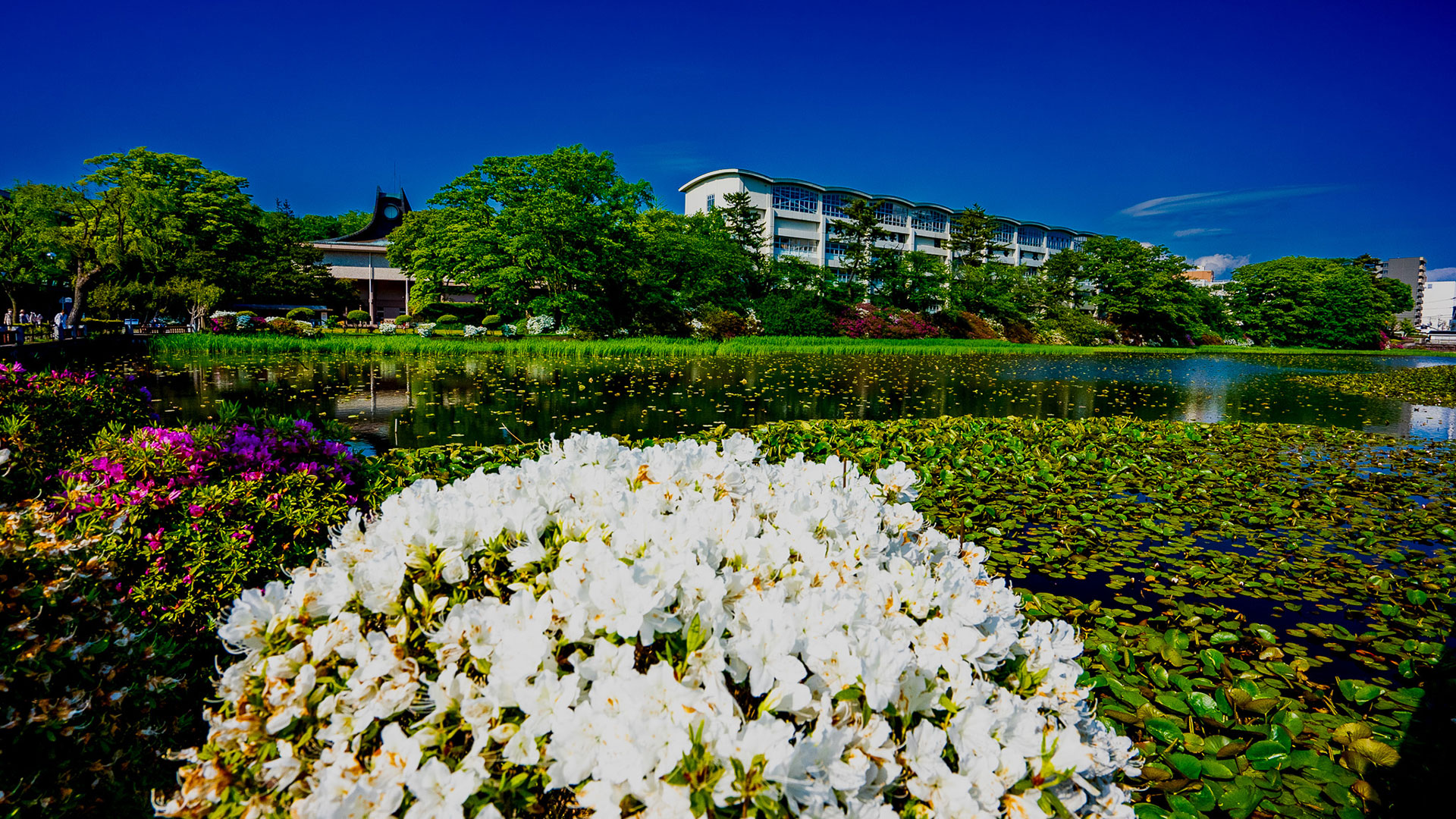 春の久保田城10