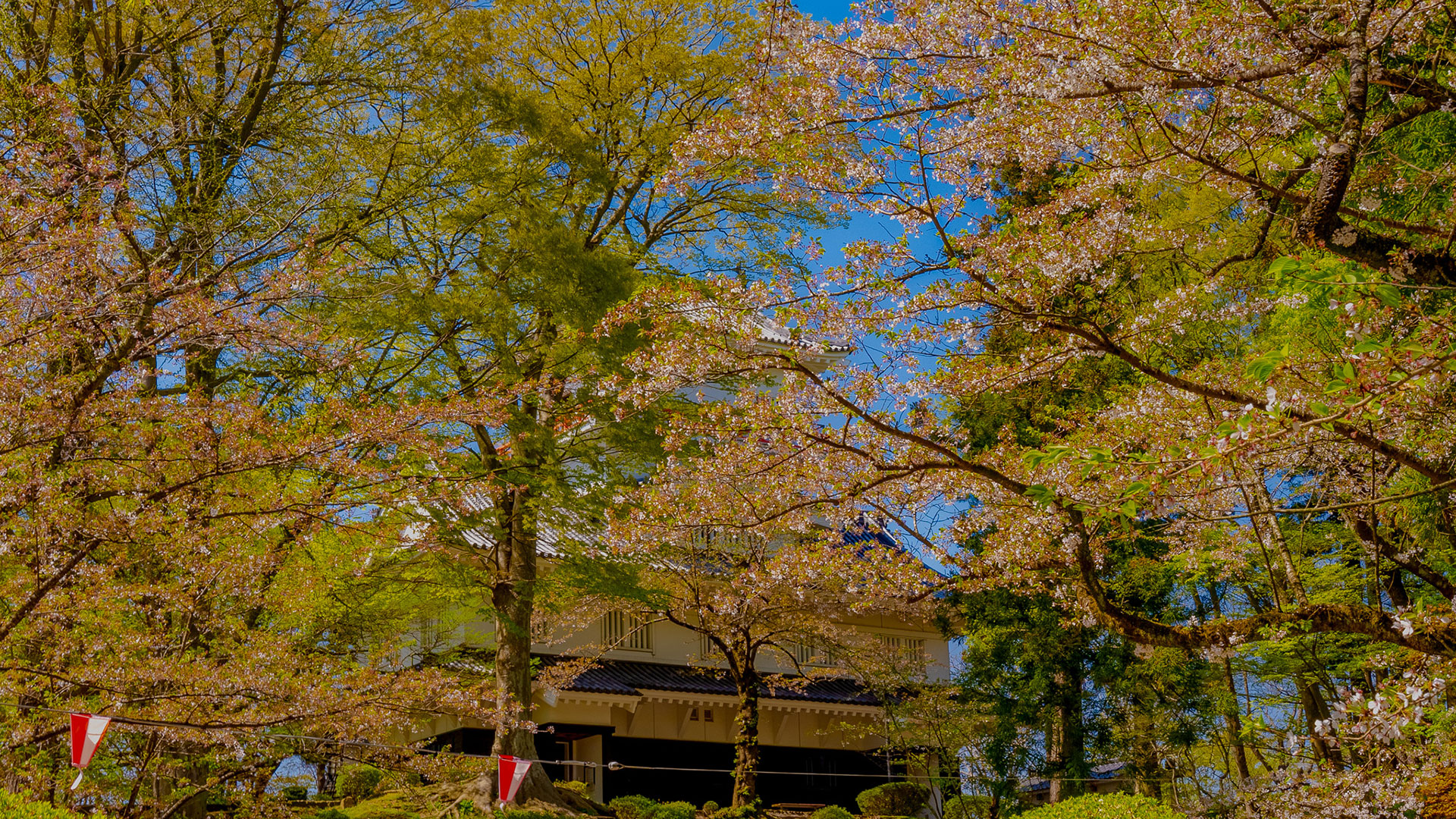 春の久保田城11