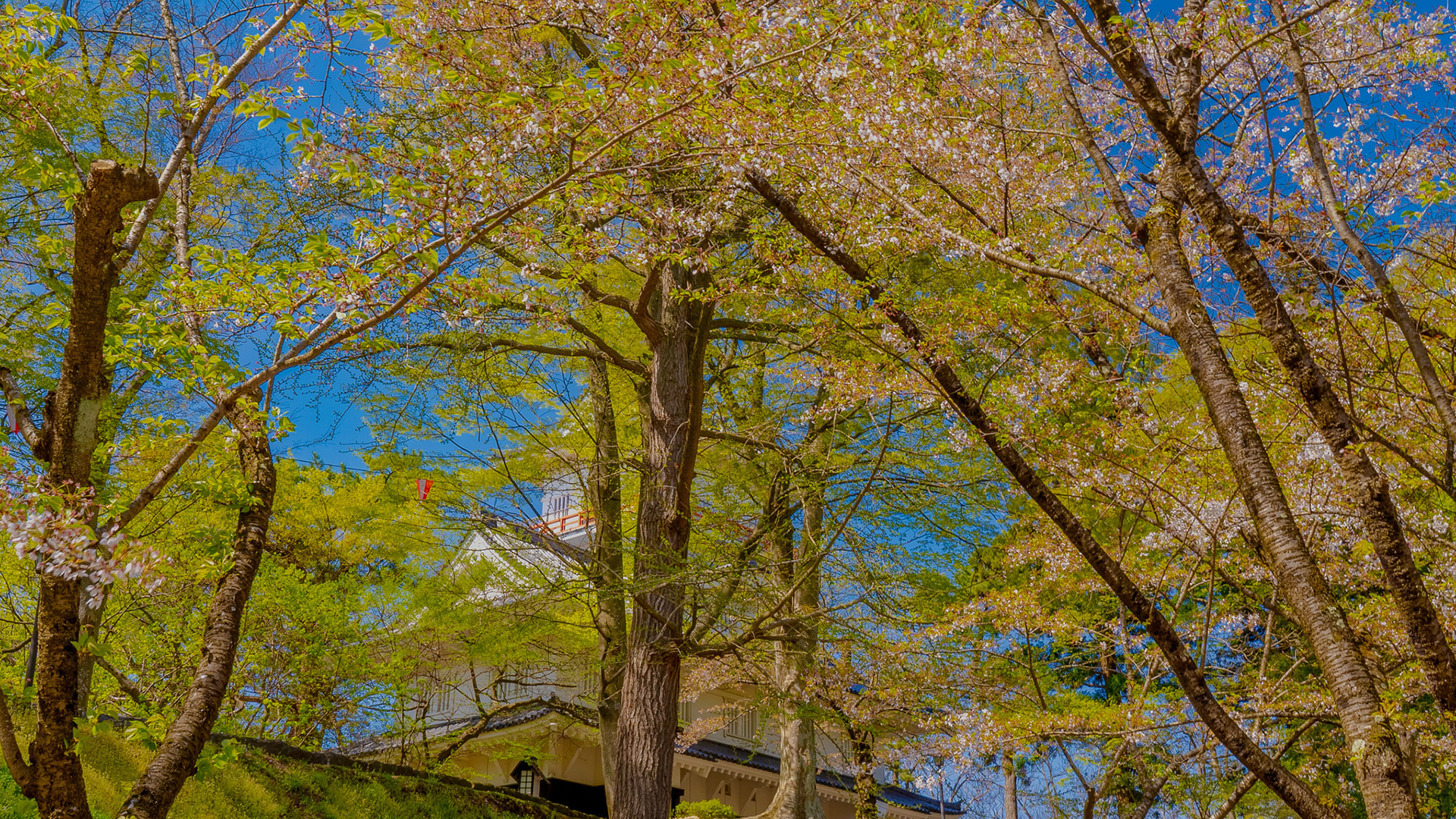 春の久保田城12