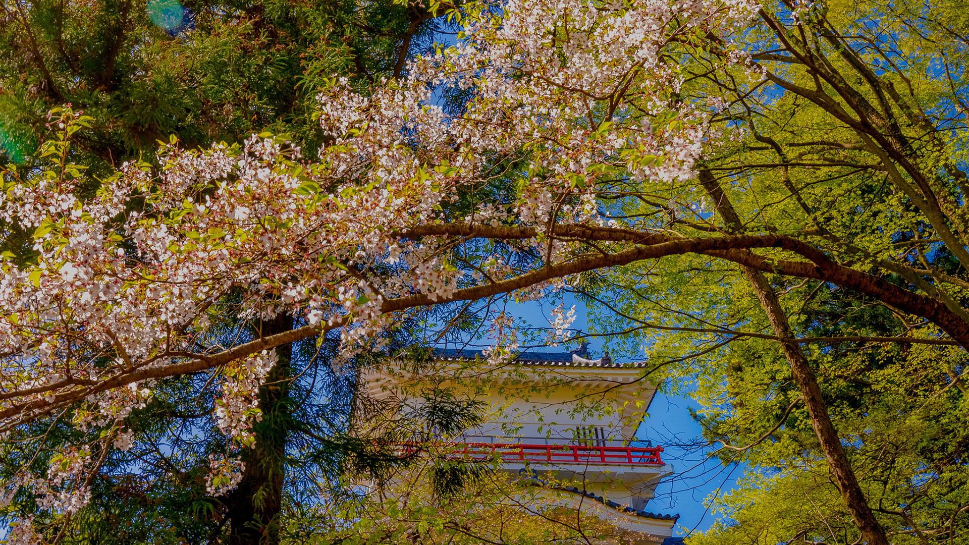 春の久保田城14