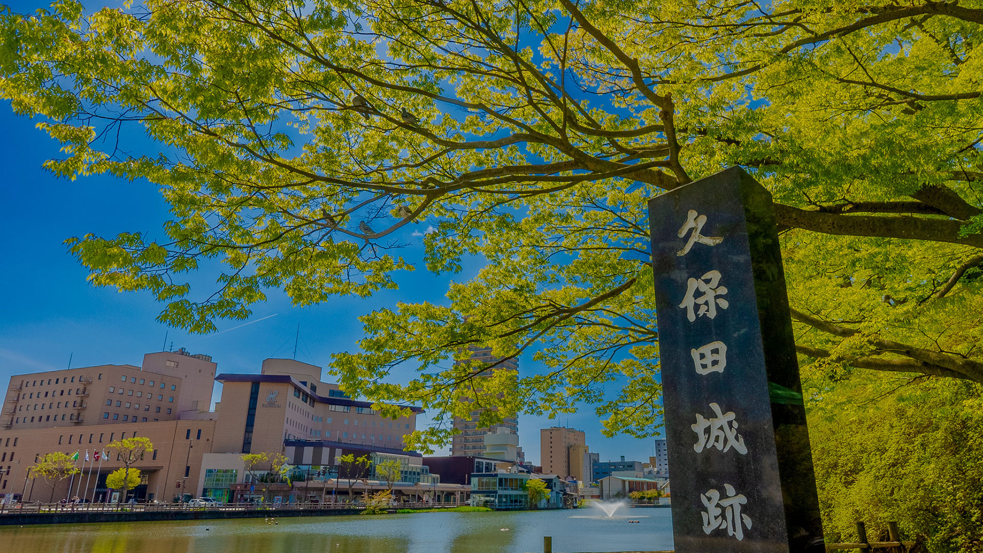 春の久保田城19