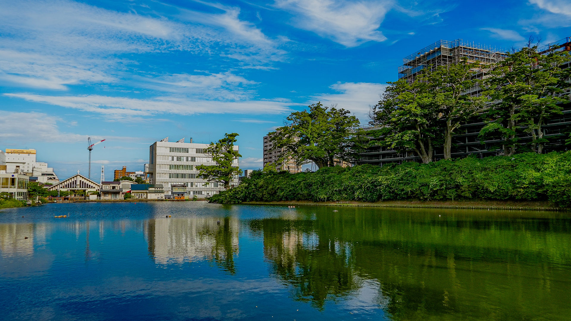 夏の久保田城10