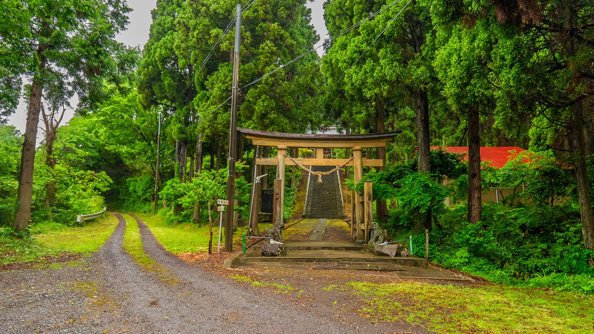 春の脇本城2