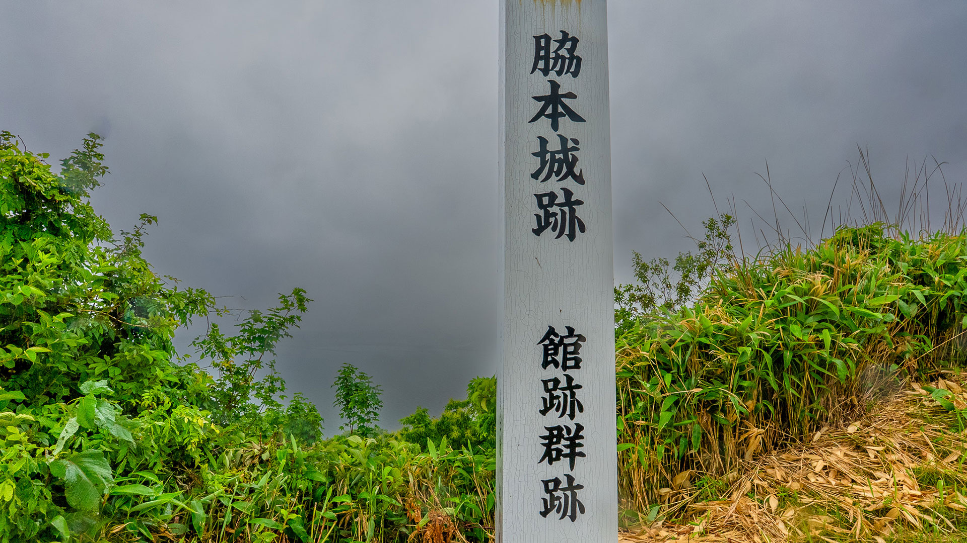 春の脇本城7