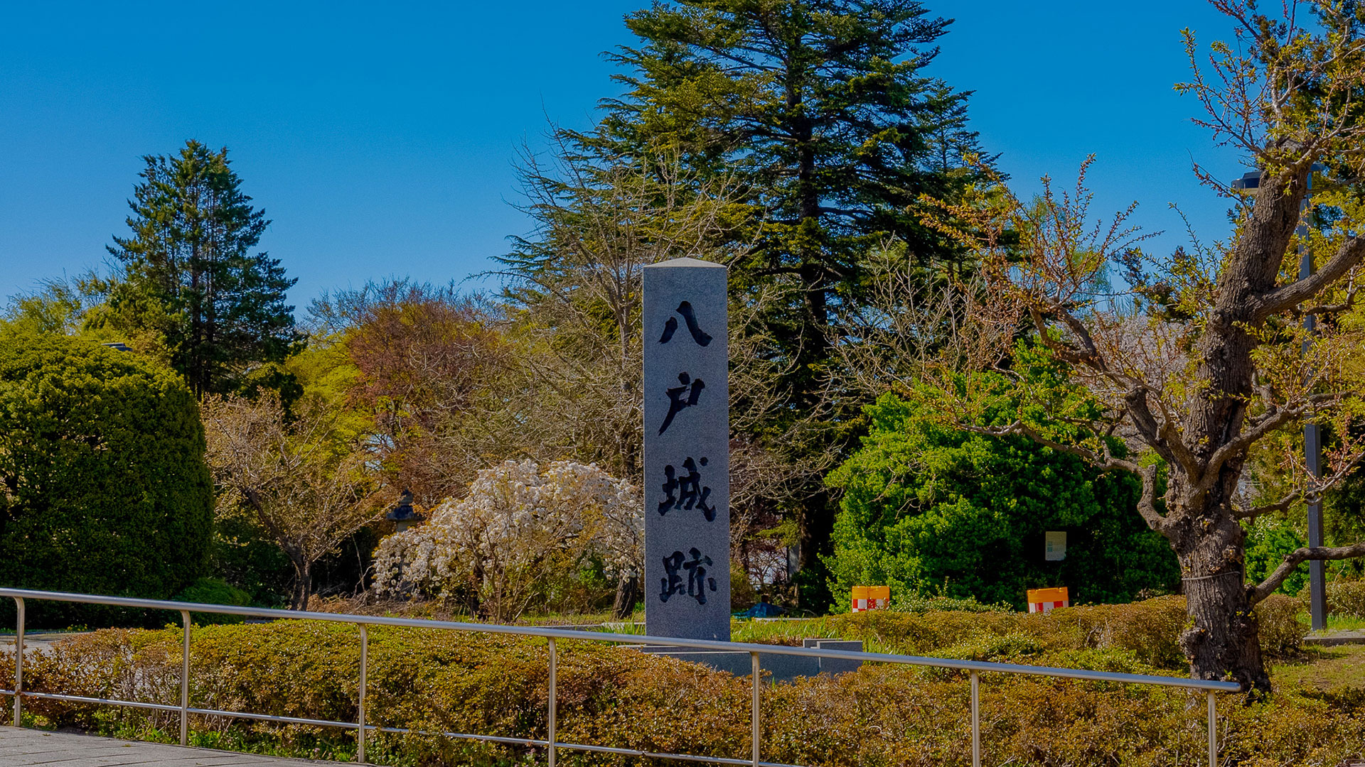 春の八戸城2