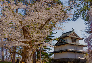 弘前城の見どころ10