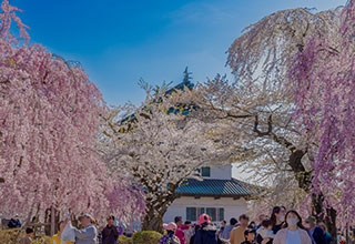 弘前城の見どころ11