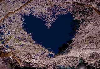 弘前城の見どころ12