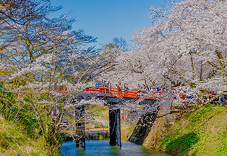 弘前城の見どころ13