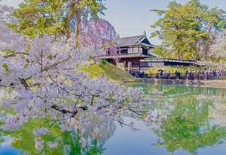 弘前城の見どころ14