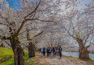 弘前城の見どころ15