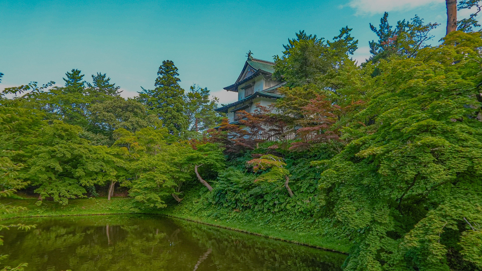 夏の弘前城6