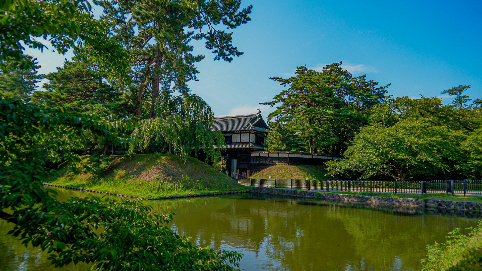 夏の弘前城7