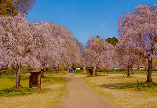 根城の見どころ11