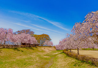 根城の見どころ12