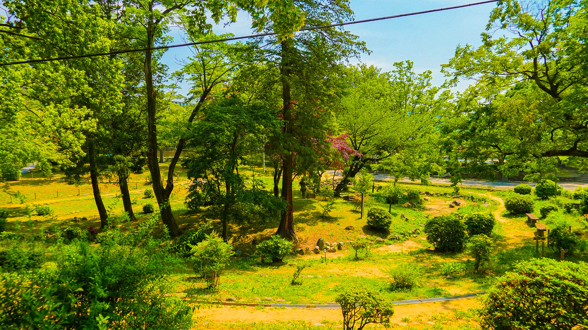 夏の福島城4