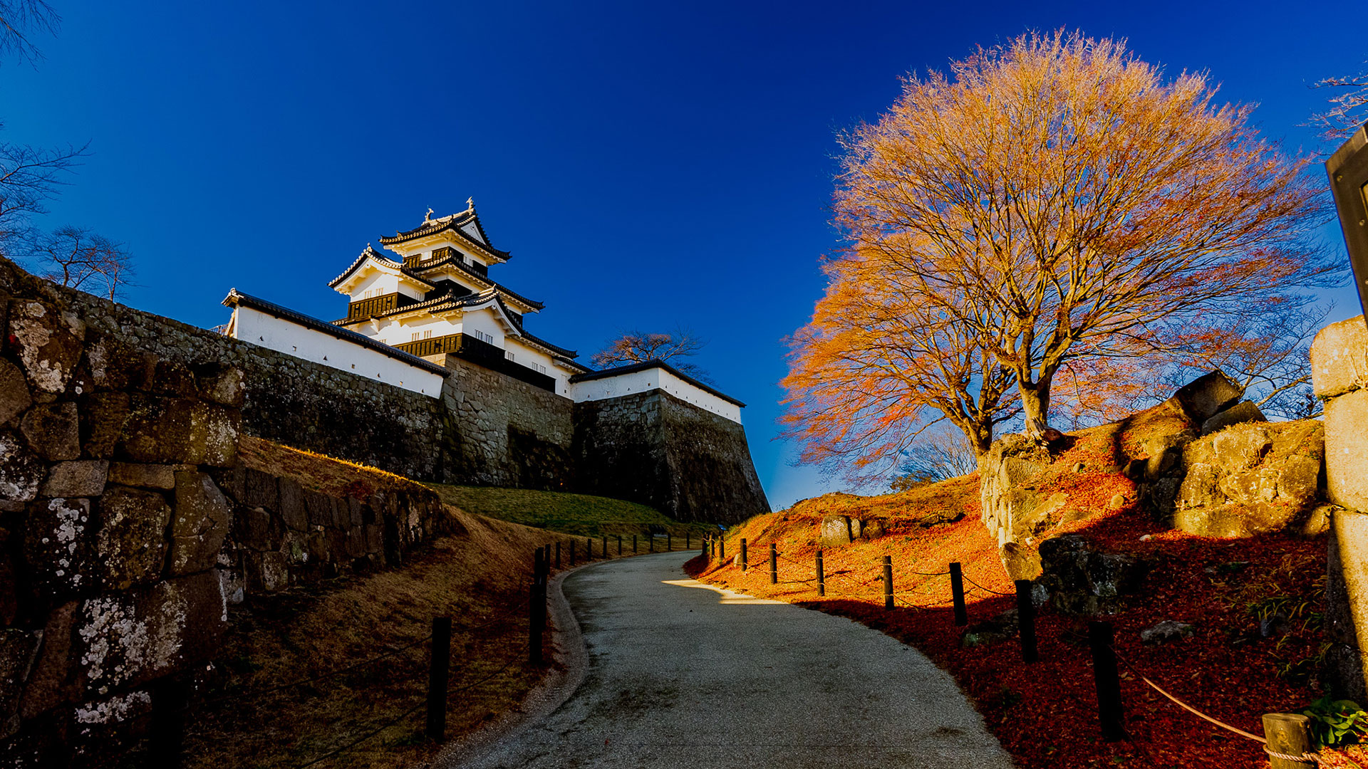 秋の白河小峰城1