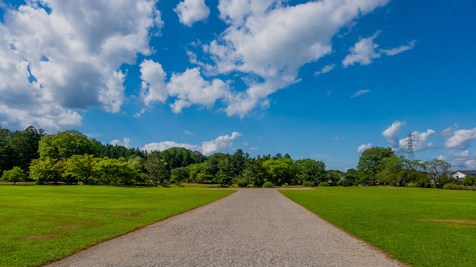 夏の観自在王院跡2