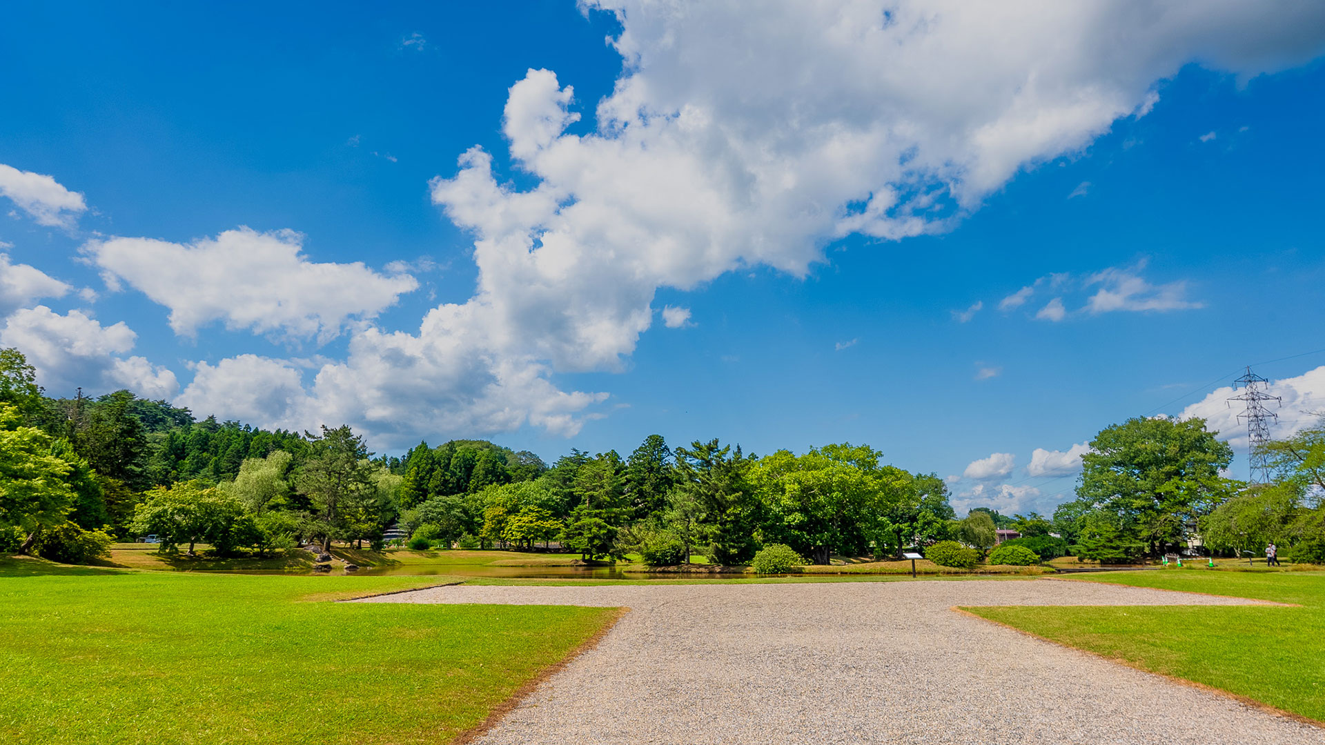 夏の観自在王院跡4
